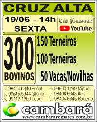 Gado Geral - Cruz Alta - RS