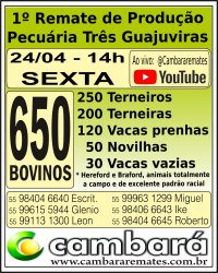 Gado Geral - Cruz Alta - RS