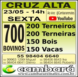 Gado Geral - Cruz Alta