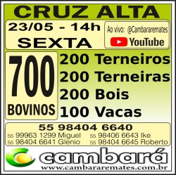 Gado Geral - Cruz Alta