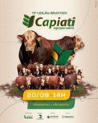 11� Leil�o Braford Capiati