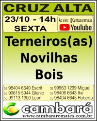 Gado Geral - Cruz Alta - RS