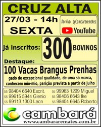 Gado Geral - Cruz Alta - RS