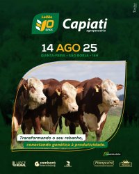 10 Leilo Braford Capiati