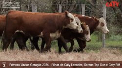 5 FEMEAS VAZIAS - PESO MEDIO 386KG