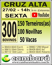 Gado Geral - Cruz Alta - RS