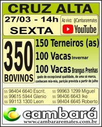 Gado Geral - Cruz Alta - RS