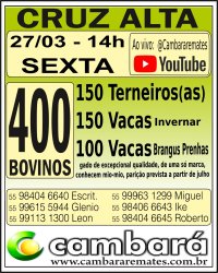 Gado Geral - Cruz Alta - RS