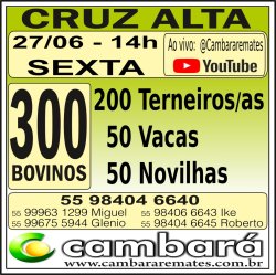 Gado Geral - Cruz Alta