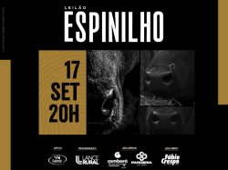 3 Leilo Estncia do Espinilho