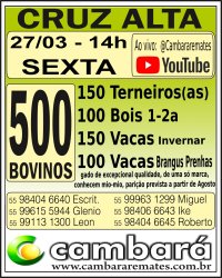 Gado Geral - Cruz Alta - RS