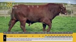 TAT G459 - S�O FERNANDO