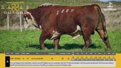 TAT G1009 - S�O FERNANDO