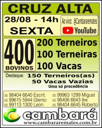 Gado Geral - Cruz Alta - RS