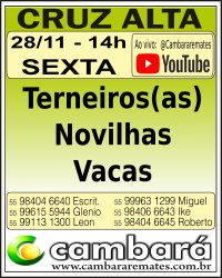 Gado Geral - Cruz Alta