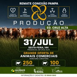 Conex�o Pampa - Leil�o de Produ��o