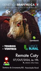 Remate Caty