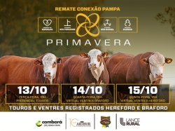 Conex�o Pampa Primavera - MACHOS