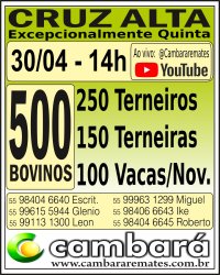 Gado Geral - Cruz Alta - RS