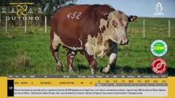 TAT W452 - SIL�NCIO