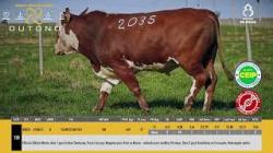 TAT W2035 - SIL�NCIO