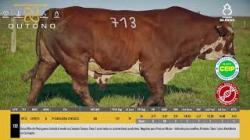 TAT W713 - SIL�NCIO