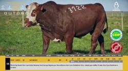 TAT W3122 - SIL�NCIO
