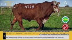 TAT W3078 - SIL�NCIO