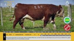 TAT W271 - SIL�NCIO