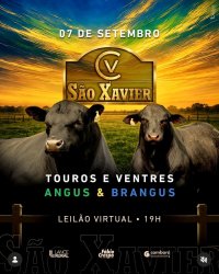 Leil�o S�o Xavier 2026