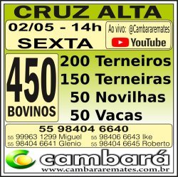 Gado Geral - Cruz Alta