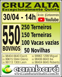 Gado Geral - Cruz Alta - RS