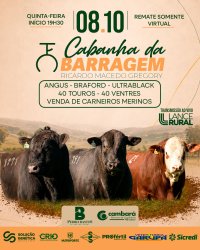 Leil�o Cabanha da Barragem