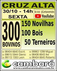 Gado Geral - Cruz Alta - RS