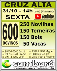 Gado Geral - Cruz Alta