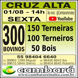 Gado Geral - Cruz Alta