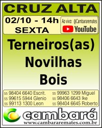 Gado Geral - Cruz Alta - RS